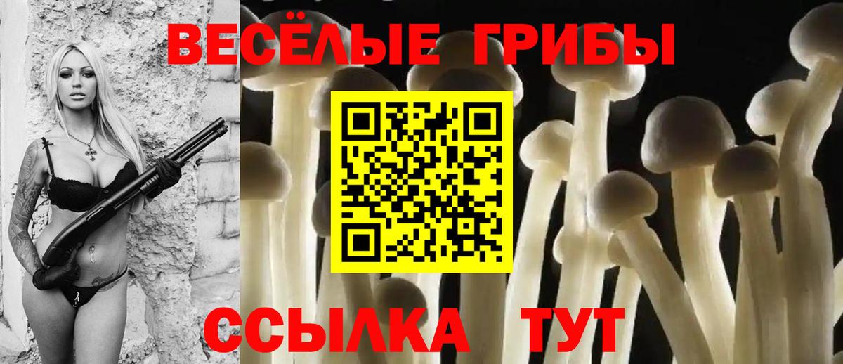 Кушва  Галлюциногенные грибы мицелий  Галлюциногенные грибы Magic Shrooms  Вход с VPN 