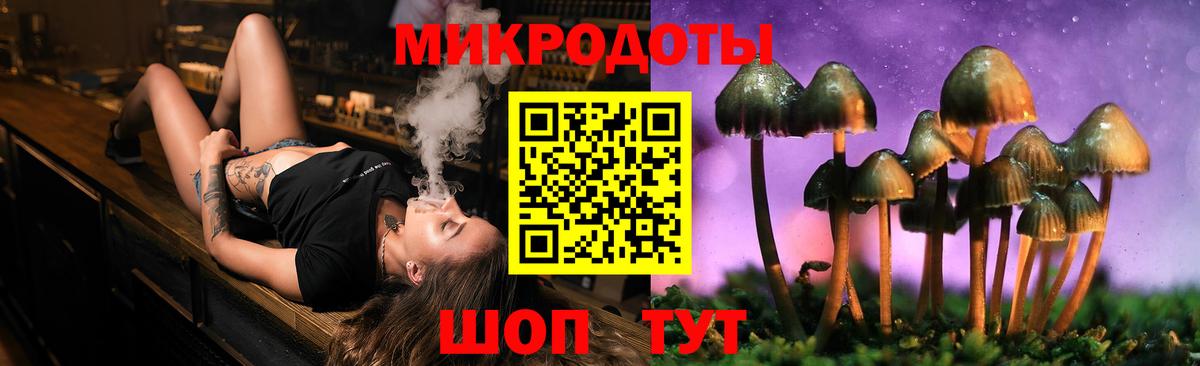 Псилоцибиновые грибы мицелий Кушва